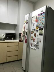 Blk 1A The Pinnacle@Duxton (Bukit Merah), HDB 4 Rooms #498254851